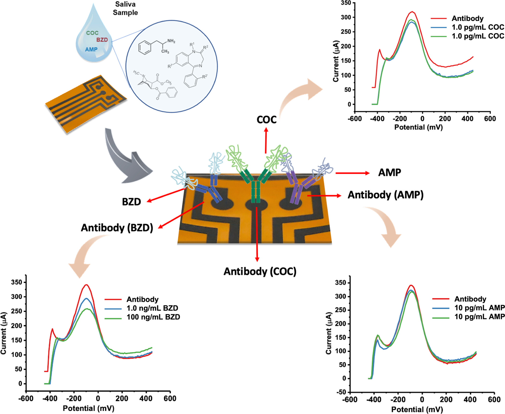 Simultaneous detection of AMP, BZD, and COC